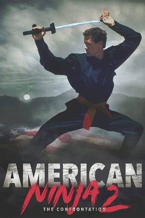 Amerykański Ninja 2 - gdzie obejzeć online