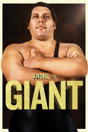 Andre the Giant - gdzie obejzeć online