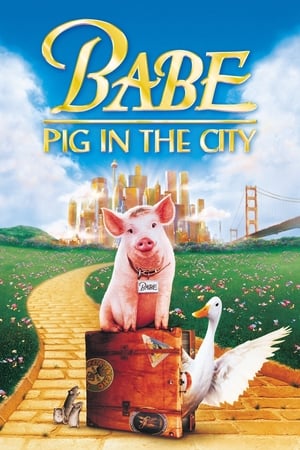 Babe: Świnka w mieście - gdzie obejzeć online