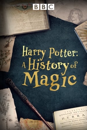 Harry Potter: A History Of Magic - gdzie obejzeć online