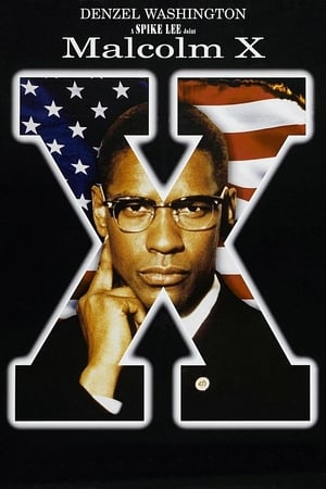 Malcolm X - gdzie obejzeć online