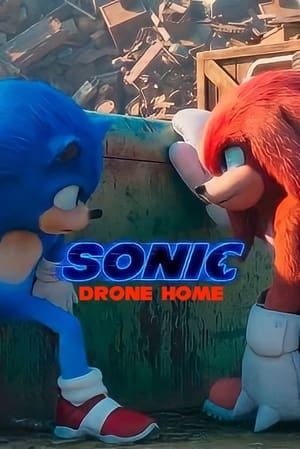 Sonic Drone Home - gdzie obejzeć online