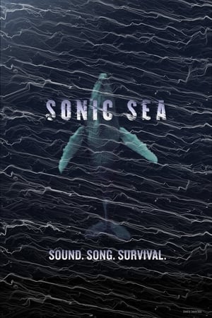 Sonic Sea - gdzie obejzeć online