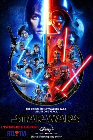 Star Wars : L’incroyable Légende - gdzie obejzeć online