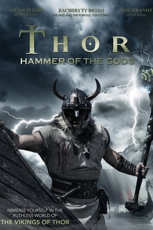 Thor: Młot bogów - gdzie obejzeć online
