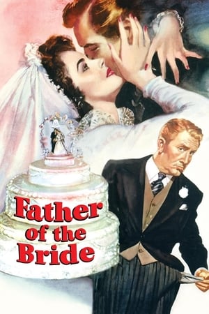 Father of the Bride - gdzie obejzeć online