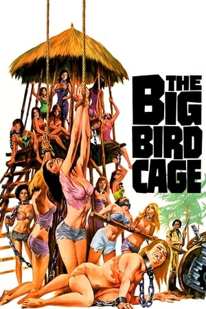 The Big Bird Cage - gdzie obejzeć online