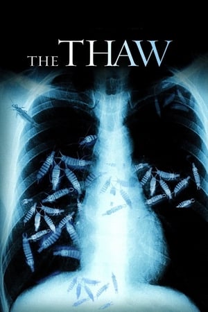 The Thaw - gdzie obejzeć online