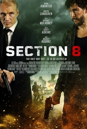 Section 8 - gdzie obejzeć online