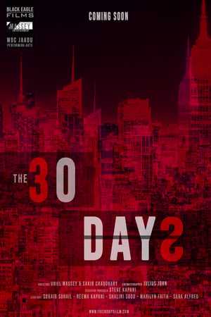 The 30 Days - gdzie obejzeć online