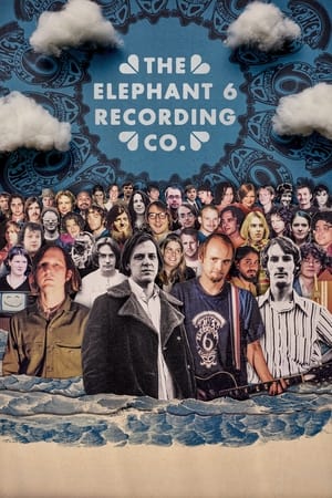 The Elephant 6 Recording Co. - gdzie obejzeć online