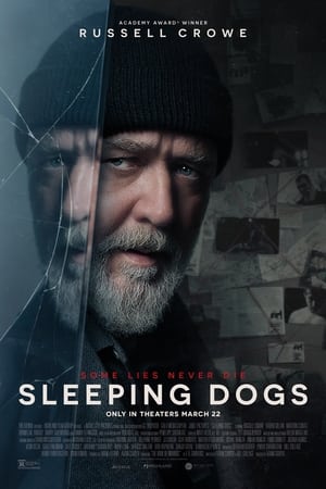 Sleeping Dogs - gdzie obejzeć online