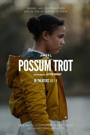 Sound of Hope: The Story of Possum Trot - gdzie obejrzeć online
